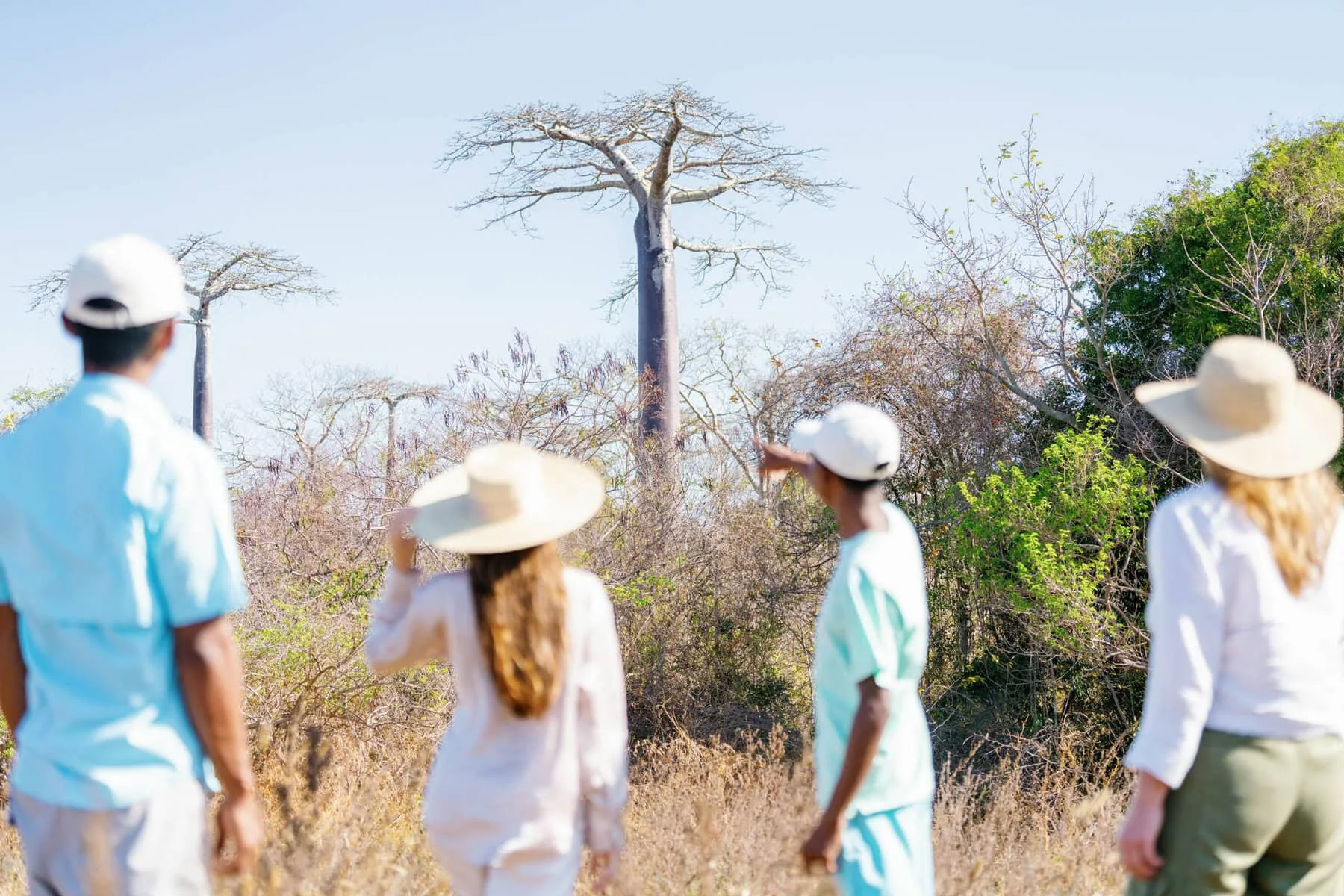 Four people standing in dry grass and scrub with their backs to the camera, two in wide straw hats, one of them pointing, with baobabs rising behind them against a pale blue sky.